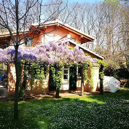 La Quiete Della Campagna A Due Passi Da Roma Casa vacanze *